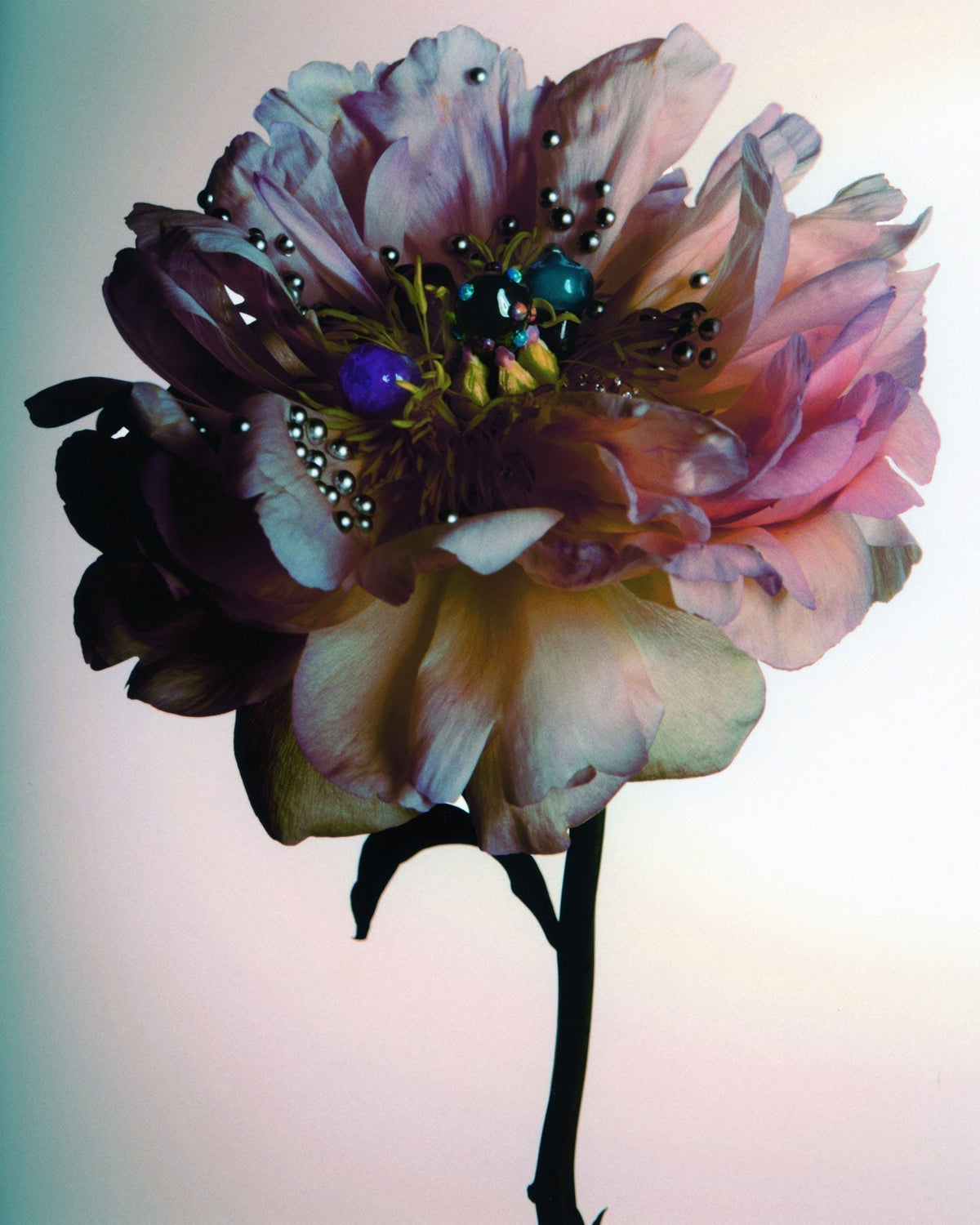 Gilding Flora