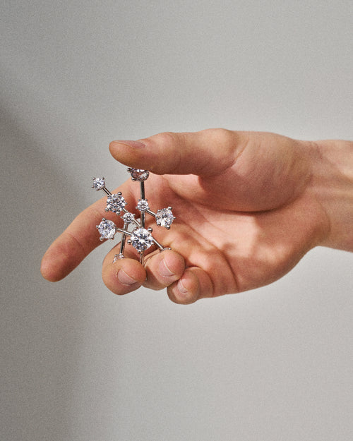 Diamanti Nova Brooch